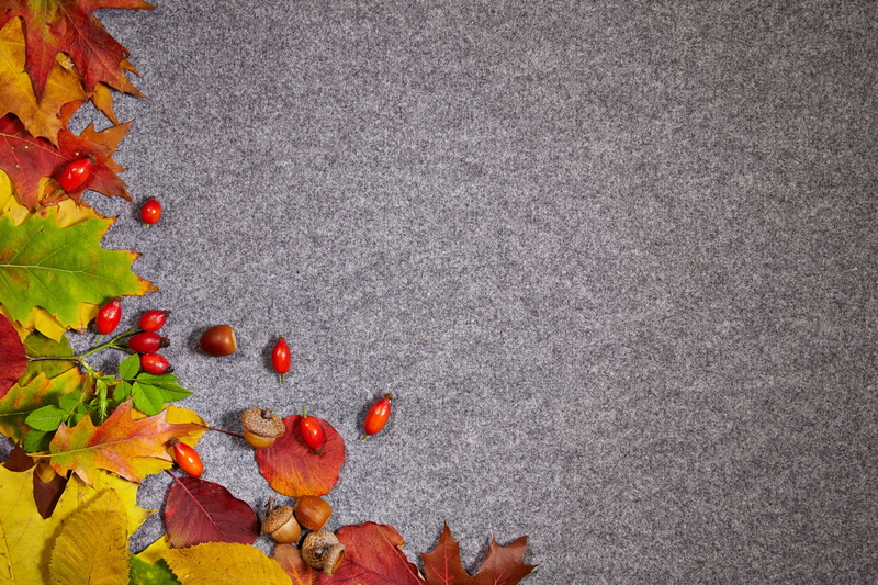 4K, background, autumn, briar, acorns, leaves