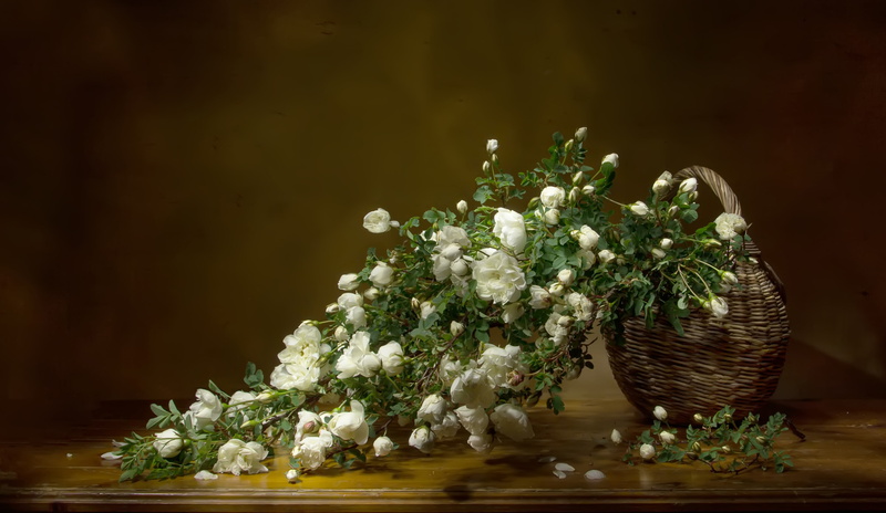 basket, Татьяна Феденкова, briar, white, 4K, background