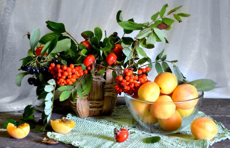 1080P, apricot, briar, Rowan, still life, Aronia