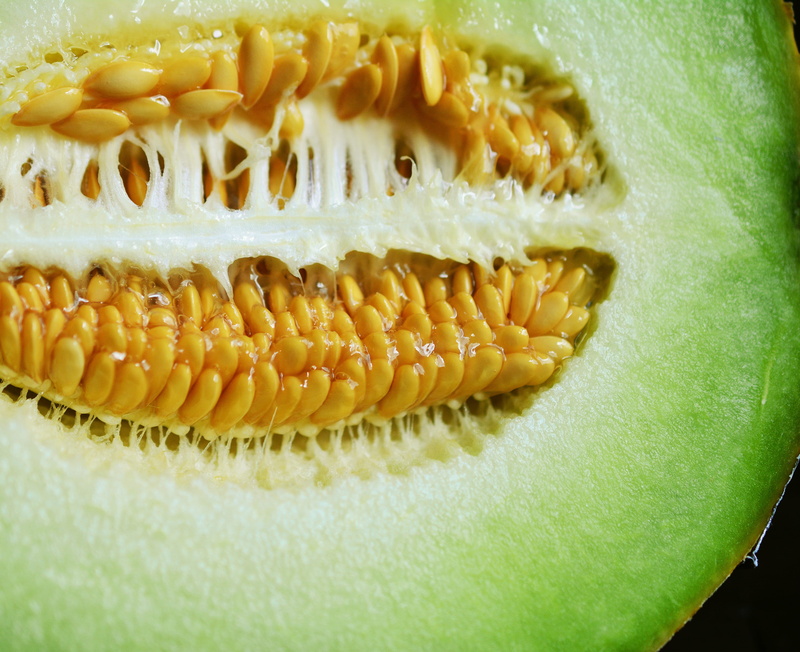 melon, healthy, italian food, corn, cores, healthy eating, vegetable, close-up, no people, seed, pattern, 4K, cantaloupe, core, freshness, indoors, garden