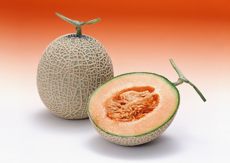 Fruits, Melon, 720P, Cantaloupe