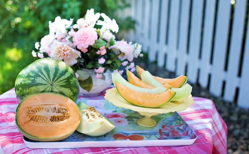 nature, Fence, organic, green, refreshing, table, slice, melon, wellbeing, Sweet, Natural, Cute, plant, delicious, Outdoors, flower head, 5K, melons, flower
