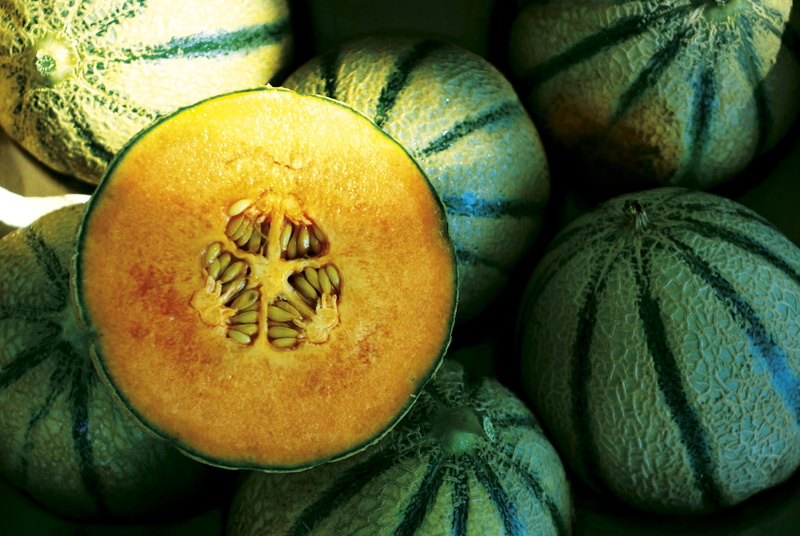melons, melon, stack, ripe, group of objects, close-up, cantaloupe, medium group of objects, full frame, wellbeing, 4K, freshness, fruits, market, choice