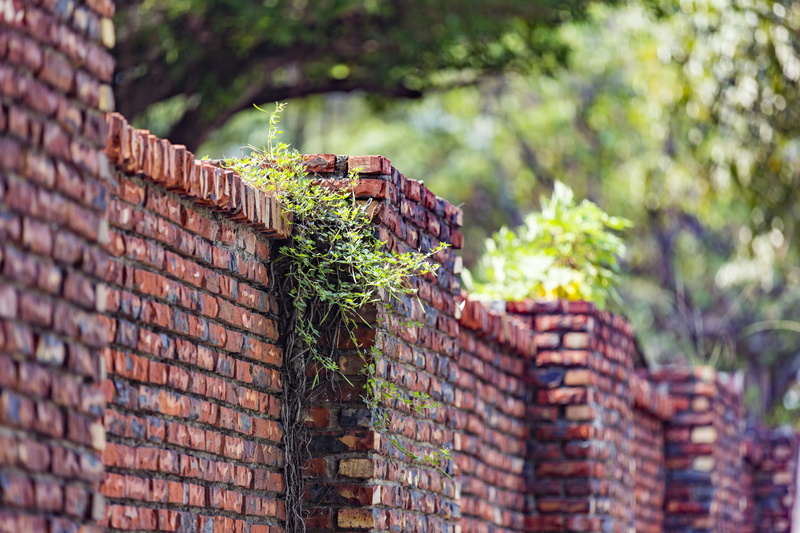 close-up, roof tile, old, wall, Green, stack, landscape, natural, leaf, architecture, summer, stone Material, environment, Tree, grass, built Structure