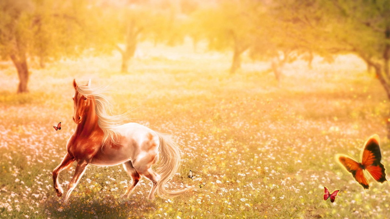 1080P, brown, artistic, painting, 1920x1080, illustration, field, horse, white, butterfly