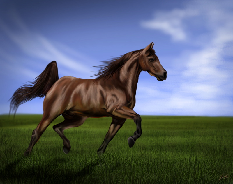 plant, tail, pets, vertebrate, field, grass, pasture, running, green, 2K, domestic animals, animal themes, art, animal, thoroughbred Horse, no people