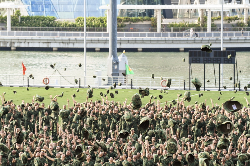 architecture, built structure, animal wildlife, group of people, sport, marching, parade, large group of people, outdoors, armored, field, human, crowd