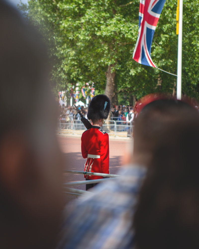 focus on background, boys, incidental people, marching, human, group of people, 4K, tree, males, union jack, england, crowd, london, patriotism, sitting