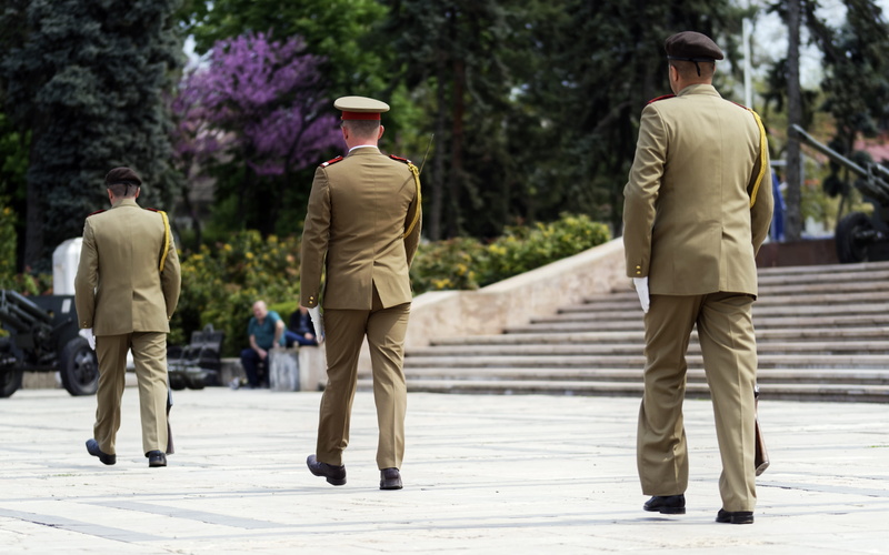 group of people, day, well-dressed, service, clothing, incidental people, adult, kid, nature, the parade, hat, army, sword, militaria, people, march, military