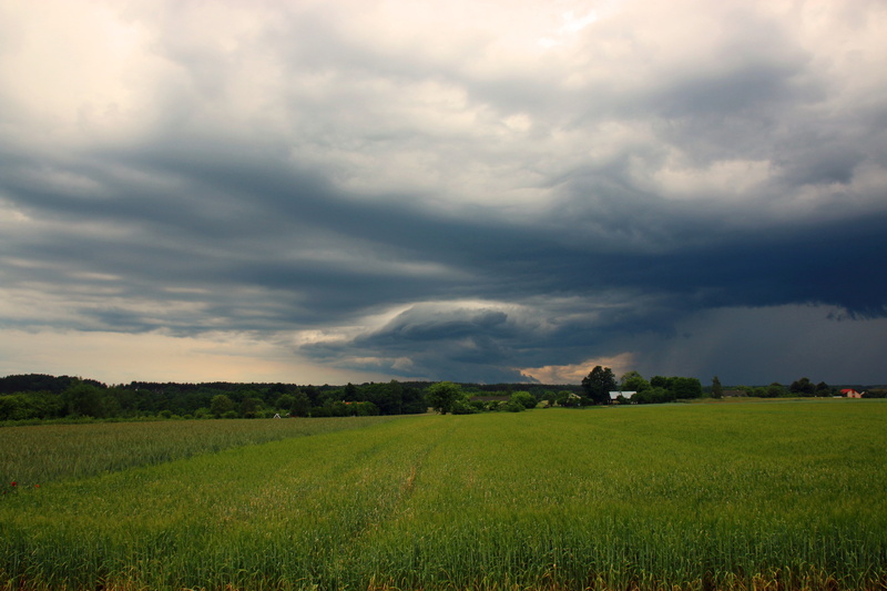 environment, cloud, rural Scene, blue, scenics - nature, plant, agriculture, ominous, plantation, no people, nature, green color, weather, field, landscape
