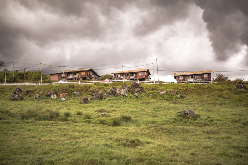 outdoors, no people, dark, animal, rural, day, countryside, nature, building, car, grass, house, storm cloud, houses, grassland, transportation, 5K, cloud - sky