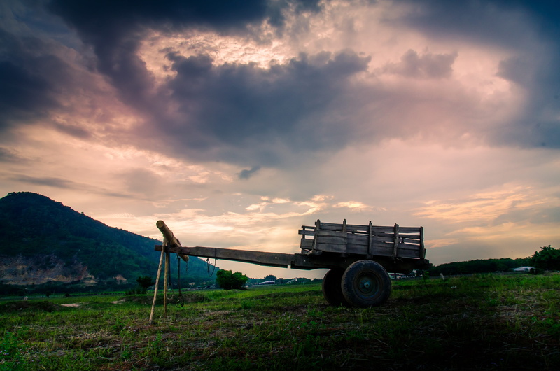 color, no people, food, machinery, the cloud, plant, sunset, vietnam, landscape, scenery, sky, beauty in nature, bad weather, scenics - nature, grass, land vehicle