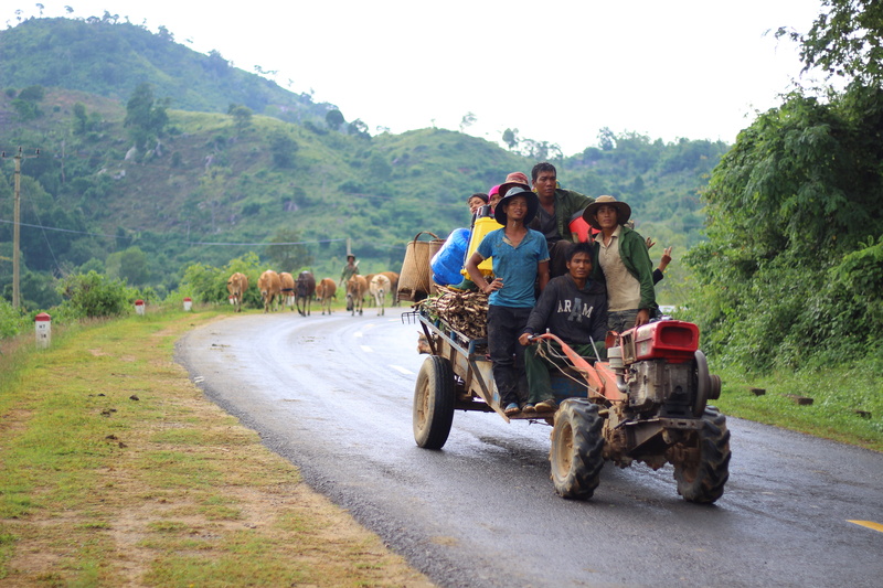 highlands, young men, group of people, agriculture, young adult, casual clothing, togetherness, road, riding, people, mode of transportation, day, plant