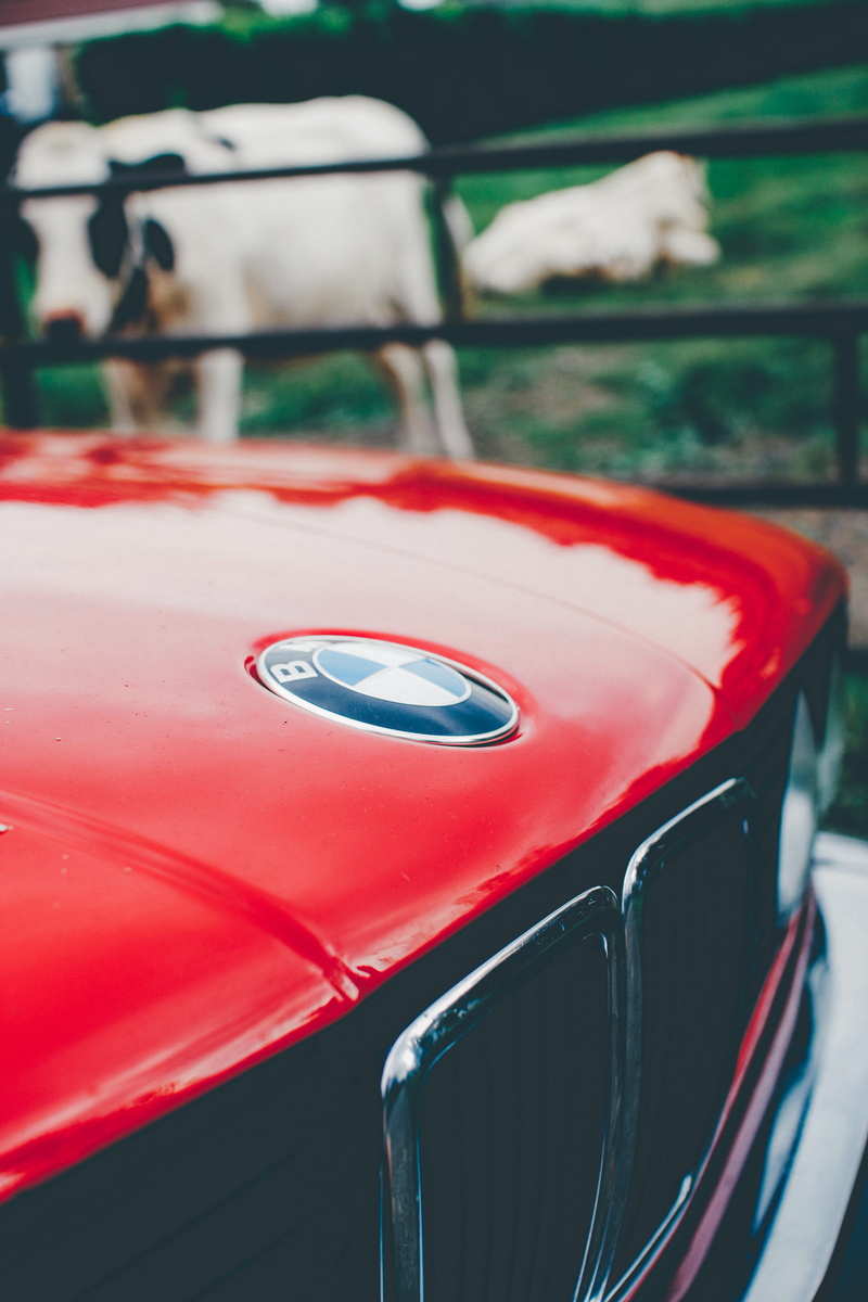 land vehicle, 5K, cow, vehicle, close-up, car, still life, wheel, motor vehicle, nature, toy car, absence, photo, outdoors, transportation, seat, race car
