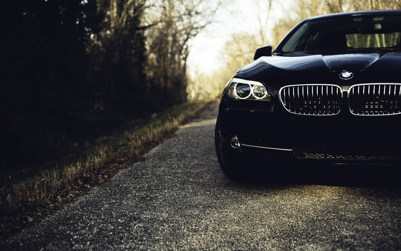 plant, vehicle, close-up, outdoors, tree, no people, 720P, motor vehicle, car, focus on foreground, city, day, nature, headlight, blue, BMW, travel, retro styled