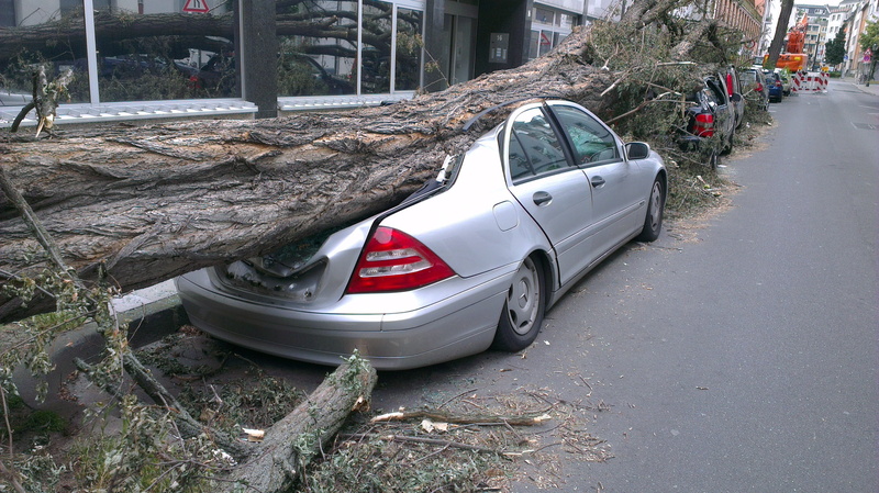 motor vehicle, travel, mode of transportation, city, built structure, fallen tree, day, road, street, stationary, nature, forward, outdoors, tornado, fall
