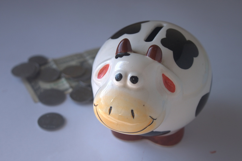 animal, toy, no people, 4K, white color, still life, currency, white, representation, savings, focus on foreground, mammal, brown, deposit, piggy bank