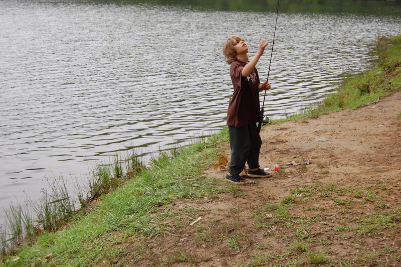 lakeshore, real people, day, human arm, plant, recreational Pursuit, fishing Rod, grass, lifestyles, rear view, boy, river, 2K, arms raised, full length