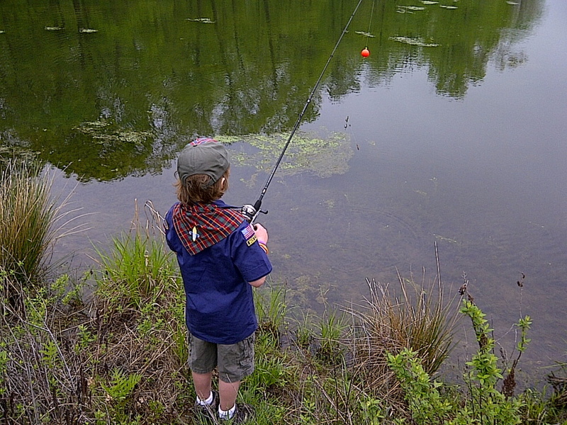standing, river, plant, 1080P, hobbies, rear view, leisure Activity, outdoors, fish, holding, casual clothing, lake, casting, catching, men, activity