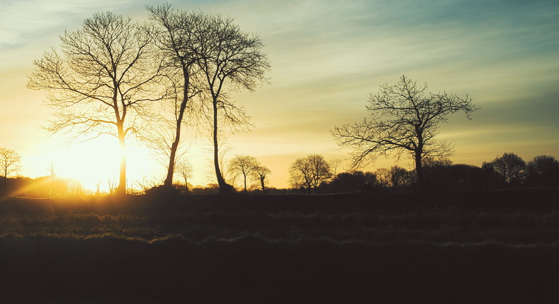 beauty in nature, non-urban scene, sunlight, tranquility, plant, speed, flare, clouds, embedded, environment, warm, sunset, lens flare, morning, nature