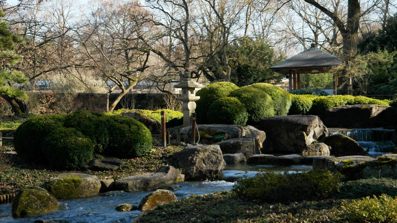 5K, ornamental garden, solid, flowing water, green, no people, architecture, pond, japanese garden, tranquility, rock, traditional, outdoors, water, rock - object