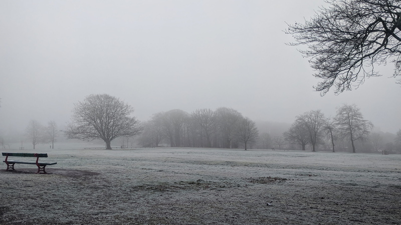 winter, no people, environment, united kingdom, snowing, field, grass, day, park, sky, scenics - nature, tree, nature, outdoors, bench, tranquility, snow