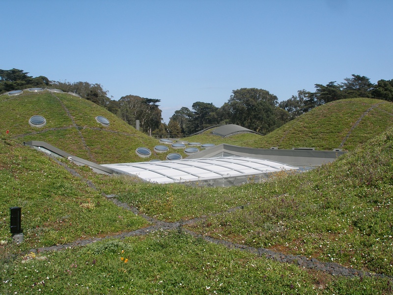 green roof, outdoors, day, scenics - nature, grass, beauty in nature, land, tranquility, growth, high angle view, architecture, leed platinum, non-urban scene