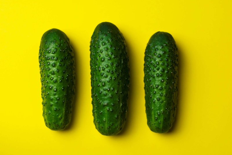in a row, colored background, three objects, no people, gherkins, close-up, cucumbers, green color, food, indoors, ripe, freshness, studio shot, yellow