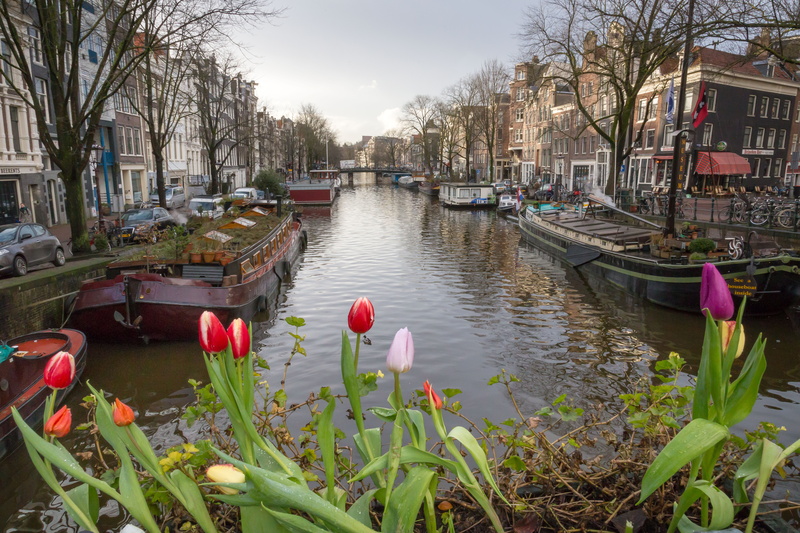 canal, built structure, tulips, growth, no people, mode of transportation, architecture, river, tree, flowering plant, 8K, plant, city, transportation