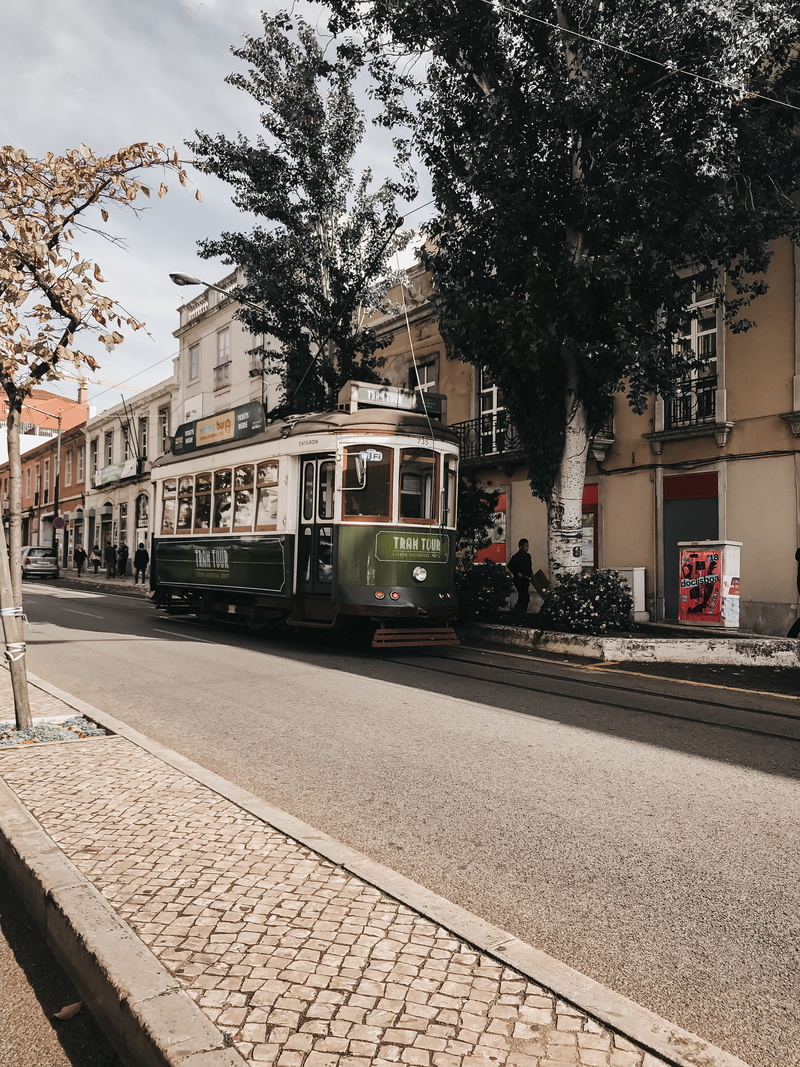 train - vehicle, building exterior, railroad, rail transportation, town, road, buildings, commuters, city, near, transportation, nature, built structure