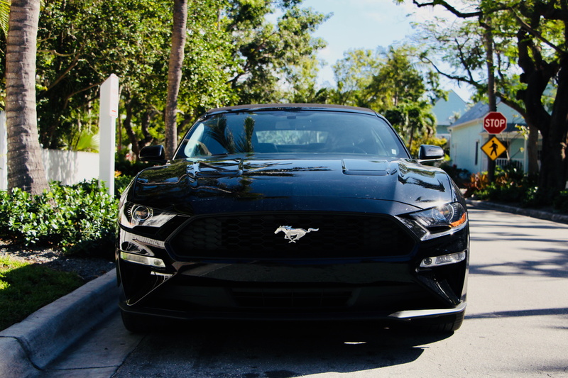 plant, black, city, black car, mode of transportation, blue, land vehicle, sunlight, day, tree, transportation, ford, road, car, architecture, parking