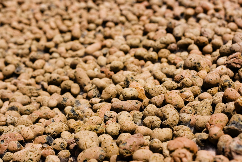 food and drink, freshness, material, large group of objects, organic, healthy eating, full frame, vegetable, pebble, selective focus, temptation, high angle view