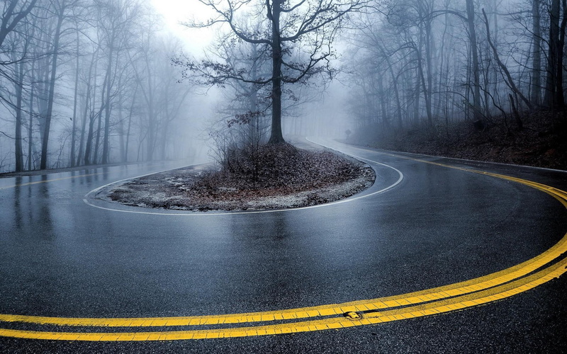 road, 1920x1200, 1080P, photography, toproad, tree, curb, black