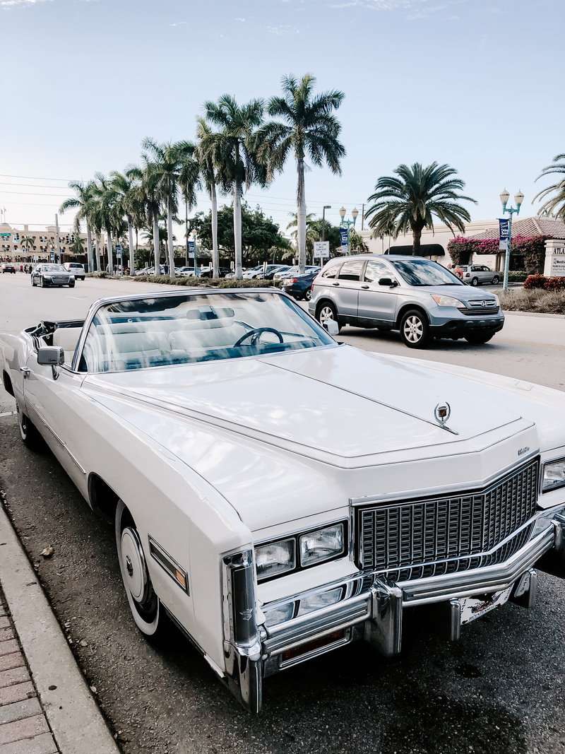 day, travel, near, building exterior, palm tree, transportation, parked, city, white, plant, el, dorado, nature, curb, daytime, street, tree, land vehicle