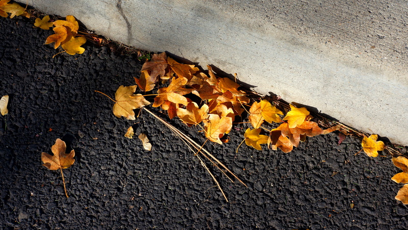 falling, nature, natural, fragility, season, outdoor, no people, 4K, orange, yellow, street, environment, blacktop, leaves, road, change, high angle view