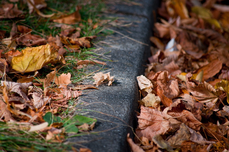 beauty in nature, close-up, curb, nature, plant part, tree, day, colorful, road, high angle view, dry, 4K, leaves, grass, no people, falling, change, autumn collection