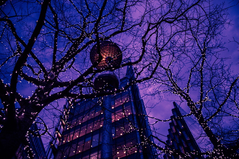 at night, tall - high, sphere, built structure, low angle view, architecture, Trees, building exterior, no people, buildings, building, nature, tower, clouds