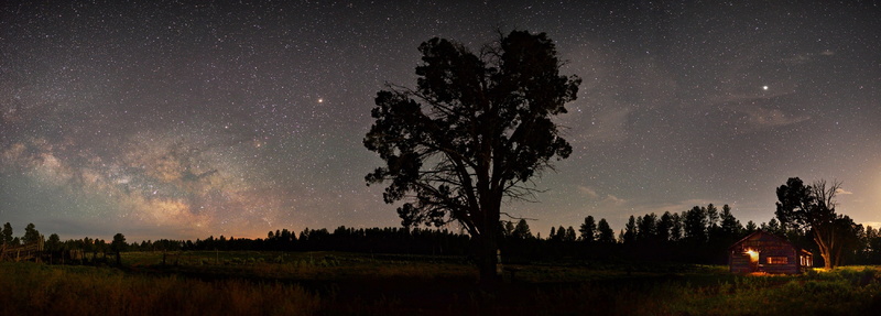 environment, silhouette, bright, landscape, stars, scenics, galaxy, night sky, panorama, camp, 2K, national monument, night, nature, sky, plant, nighttime