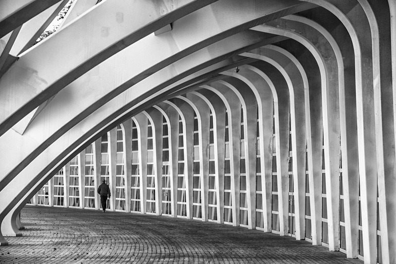 calatrava, arch, architectural column, day, valencia, ceiling, metal, spain, indoors, 1080P, the way forward, pattern, built structure, cac, modern, direction