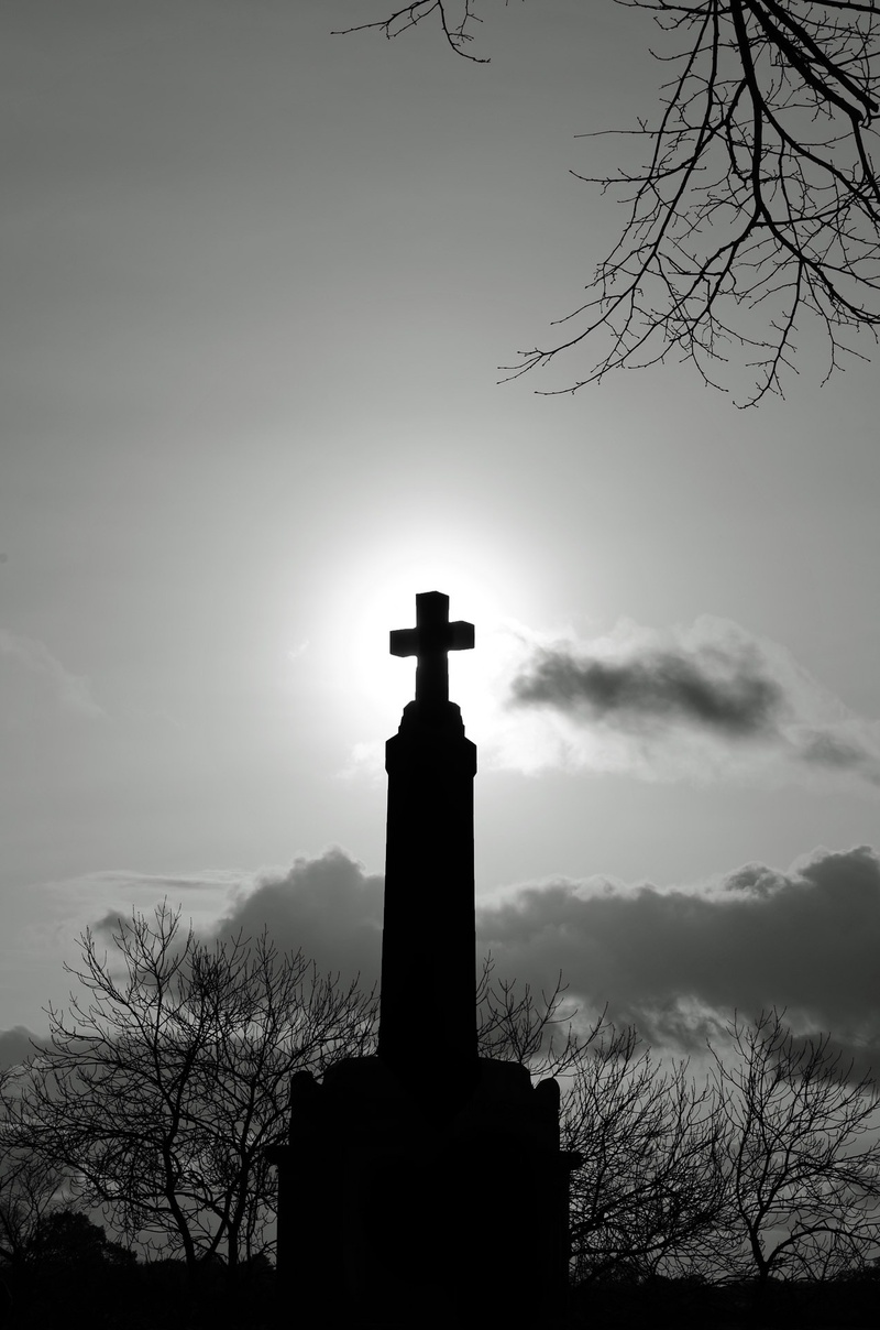 outdoors, spirituality, low angle view, cemetery, war, place of worship, branches, plant, soldiers, belief, cross, stone, cloudy, symbol, sky, heroes, no people