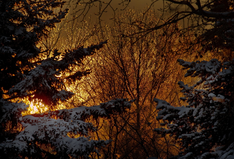nature, 8k, 4k, retina, Winter, 4K