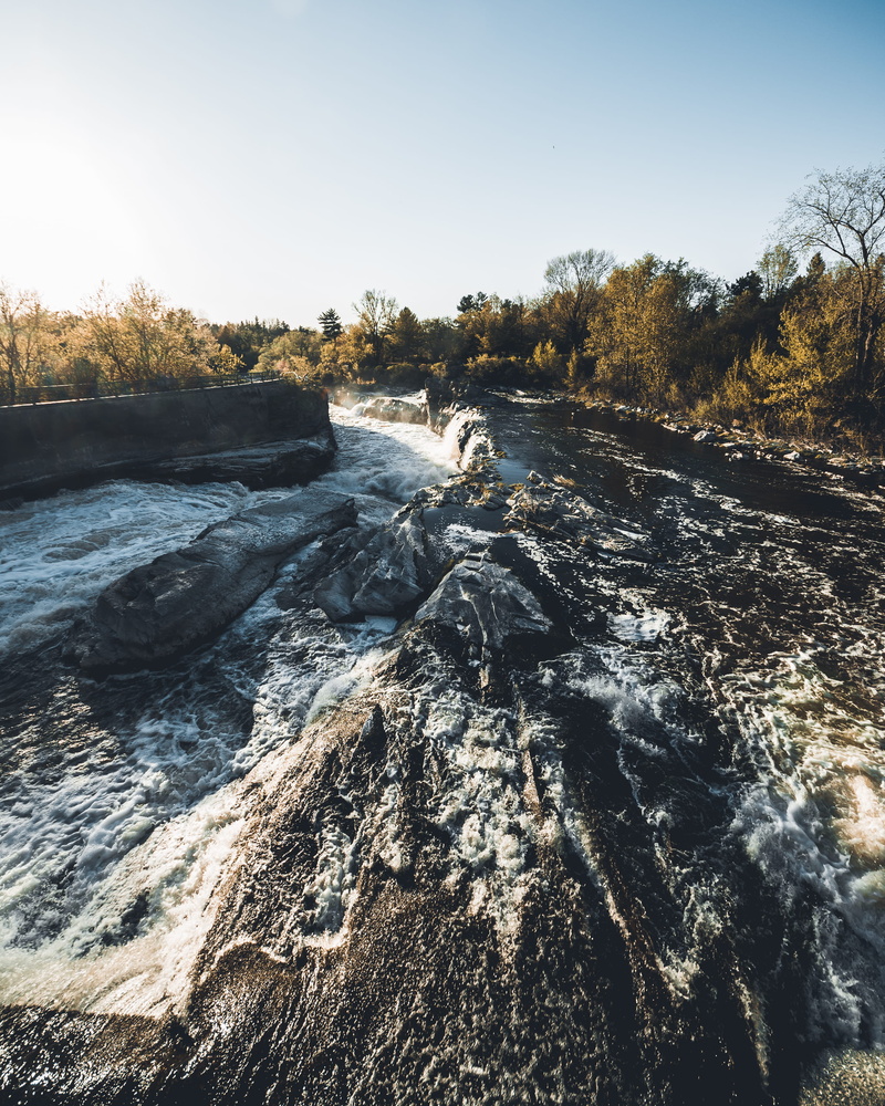 outside, forest, outdoors, power in nature, plant, unsplash, city, natural, ottawa, tranquil scene, 2K, beauty in nature, yellow, river, nature, flowing