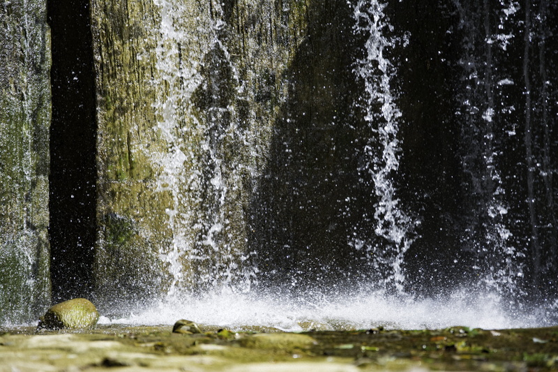 tranquil scene, 5K, cascada, forest, outdoors, power, flowing water, nature, tree, no people, splash, wet, sunlight, the river, debit, motion, waterfront