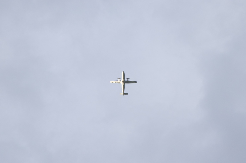 up, day, sky, airshow, transportation, leisure activities, vehicle, cloudy, airliner, mode of transportation, animal, flight, travel, aerospace industry