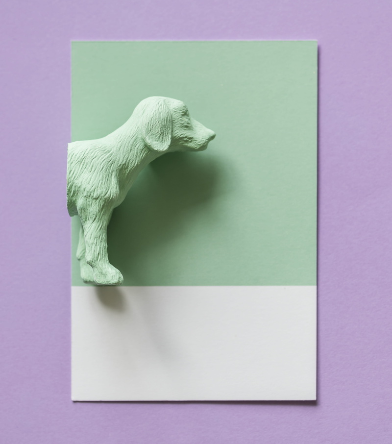 creativity, ceramic, colored background, card, dog, plastic, close-up, toy, no people, green, still life, art and craft, textile, studio shot, representation