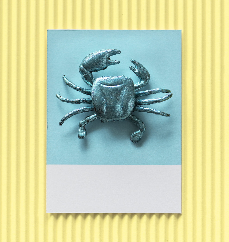 indoors, food, card, animal, toy, animal themes, 2K, animal wildlife, representation, art and craft, crab, plastic toy, table, studio shot, glittery, insect