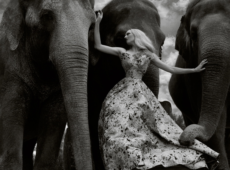 Elephants, Clothing, Lovely, animal trunk, Wonderful, Dress, Woman, animal wildlife, Outfit, Fashion, Beautiful, no people, formal, animal body part, representation