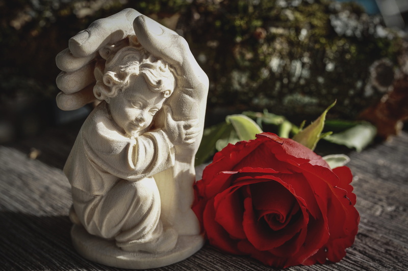 freshness, red, consolation, inflorescence, sculpture, faith, mourning, all saints, gratitude, withdrawal, meditation, petal, all souls, pray, protected