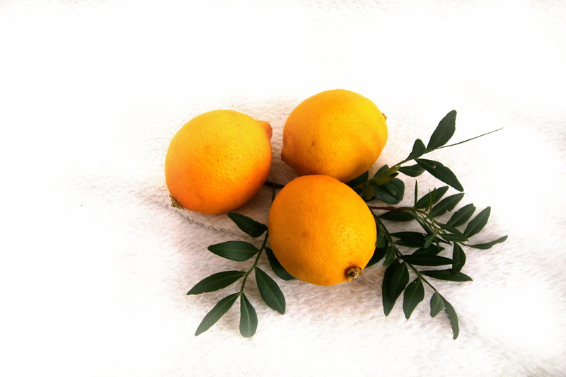 tangerine, nature, white background, yellow, no people, freshness, orange - fruit, leaf, Citrus, group of objects, 5K, still life, food and drink, fruit