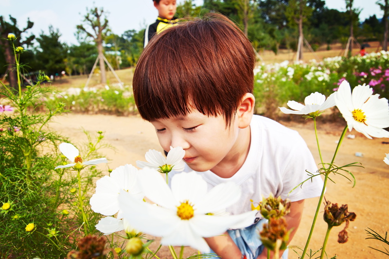 nature, innocence, Odor, Cotton, 5K, flowering plant, baby, growth, child, fragility, flower, flower head, children only, leisure activity, lifestyles